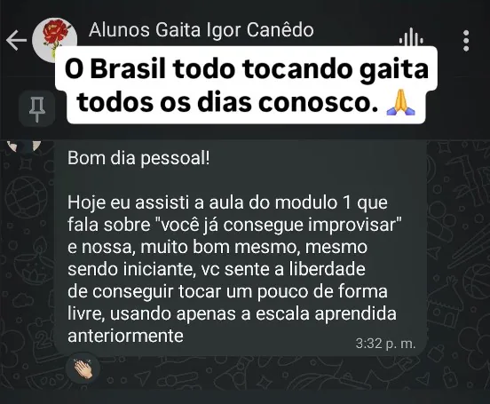 Mensagem imaginando o Brasil todo tocando gaita